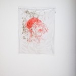 Camilla Wills - Red sweat (water) - 2015 - Acrylic silk-screen print on plastic, hay