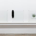 Untitled (wip_wig_weed), 2018, Triptych, wip, wig, c-print mounted on plexiglas, glass, 100 x 100 x 4 cm each part , Installation view, "Le colt est jeune et haine", curated by Cédric Fauq, Doc, Paris, May 2018