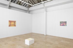 Les Curatrices, installation view, January 2021