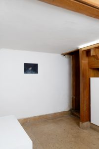 Les Curatrices, installation view, January 2021